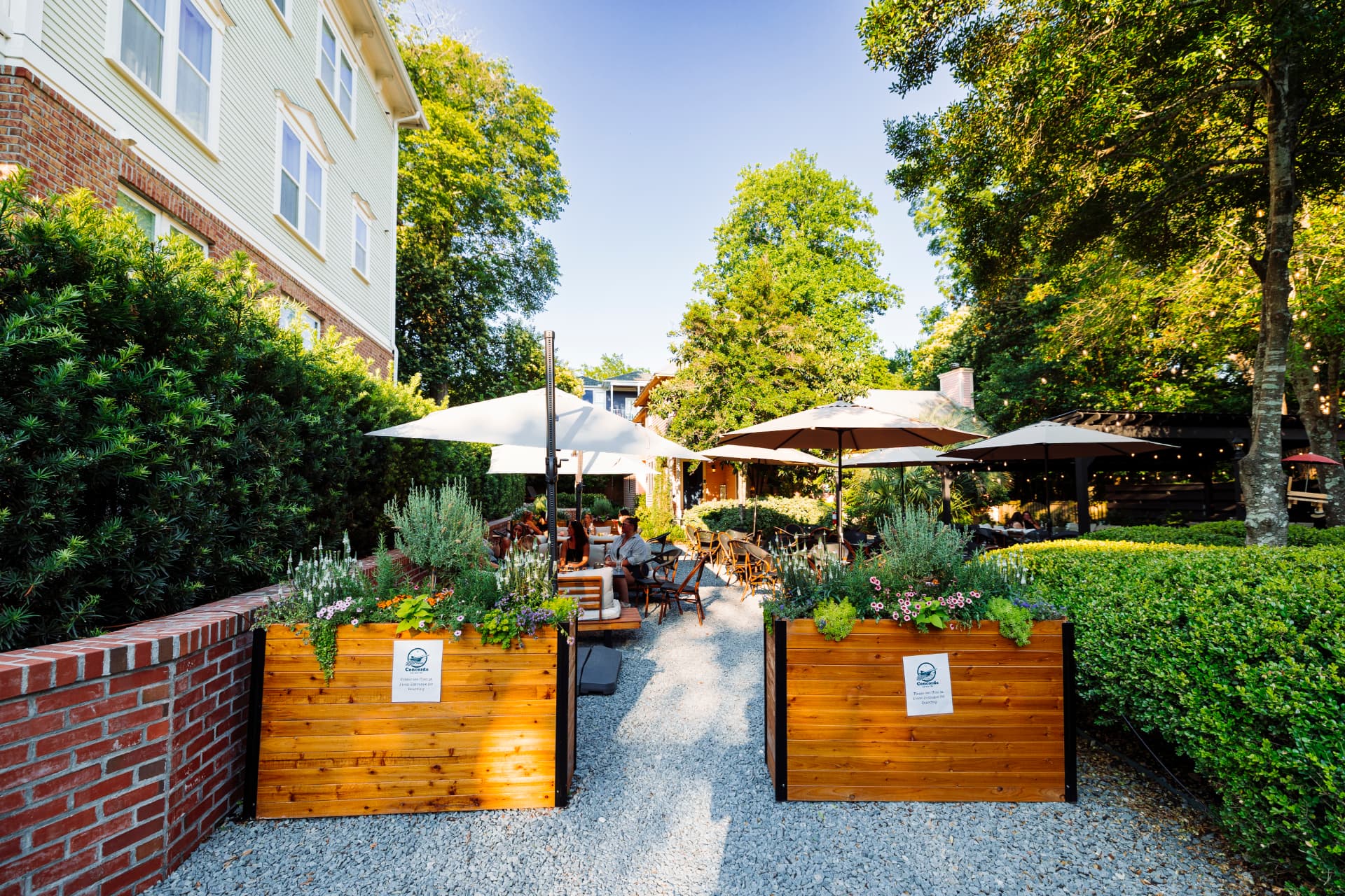 Downtown courtyard with umbrellas and planters